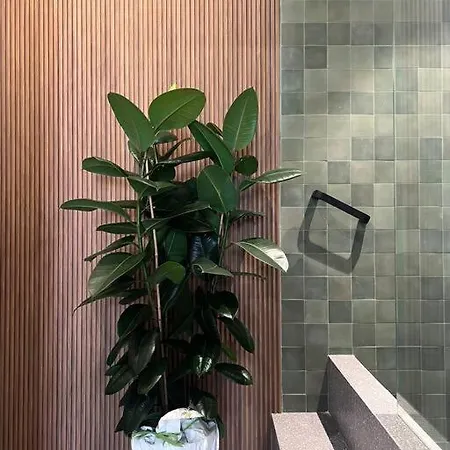 Loft 206 * לצ'ה